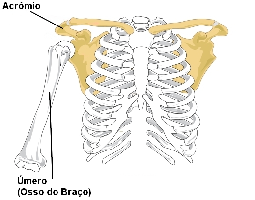 Optima Fisioterapia - Síndrome do Impacto do Ombro